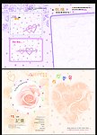 玫瑰花同学录插页
