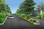 道路绿化