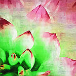 菊花油画装饰（150x150）