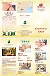 三折页宣传海报