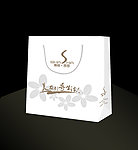 瑞丽莎莎手提袋