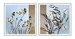 花卉装饰画