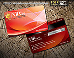 VIP贵宾卡 VIP会员卡