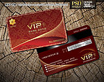 VIP贵宾卡 VIP会员卡