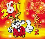 2011兔年