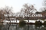 西湖风景