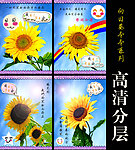 向日葵高清本本系列