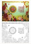 牡丹花