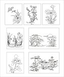 荷花 玻璃花纹