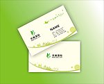 绿色名片