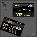 汽车行业VIP卡模板