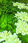 艺术玻璃图片花朵