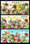 花开富贵 牡丹花