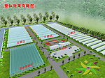 大棚温室效果图
