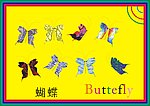 蝴蝶