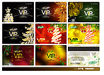 VIP VIP卡 至尊卡 (欢乐圣诞篇)