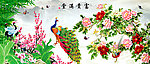 花鸟画