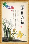 学校展板