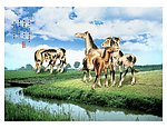 马到功成