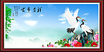 花鸟画 富贵吉祥