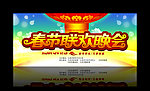 春节联欢晚会
