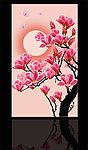 玉兰花