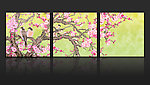 花鸟国画
