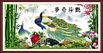 争奇斗艳孔雀图