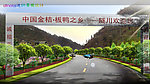 道路绿化效果图