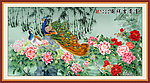 国画 孔雀 牡丹图