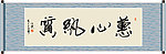 蕙心纨质书法