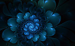 蓝花