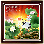 国画 荷花