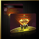 VIP卡 钻石卡