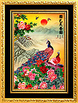 牡丹花