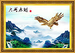 大鹏展翅