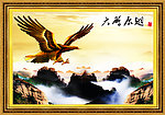 大鹏展翅