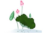国画 荷花