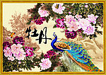 牡丹