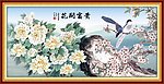 牡丹花