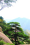 黄山 风景