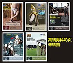 男科彩页（部分位图合层）