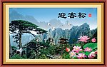 迎客松