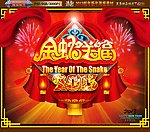 2013 蛇年