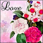 欧美情人玫瑰精品无框画