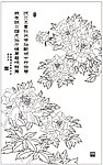 吉祥牡丹