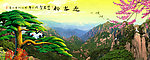黄山迎客松 迎客松