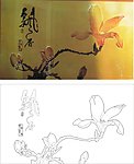 飘香 玉兰花