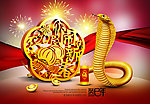 2013 蛇年