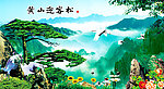 黄山迎客松